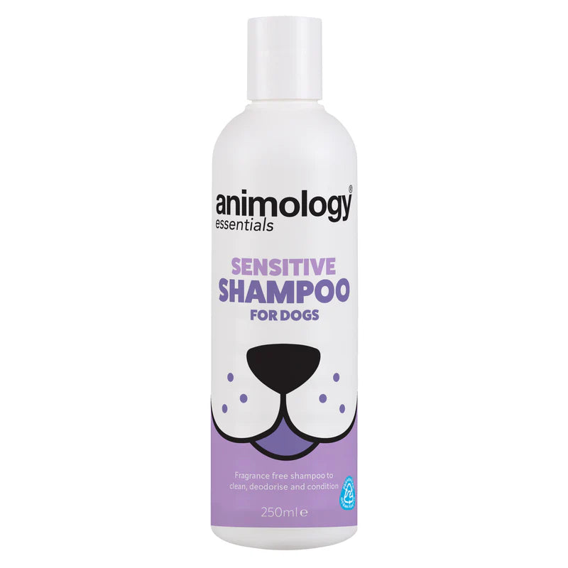 Essentials Shampoo Sensitive