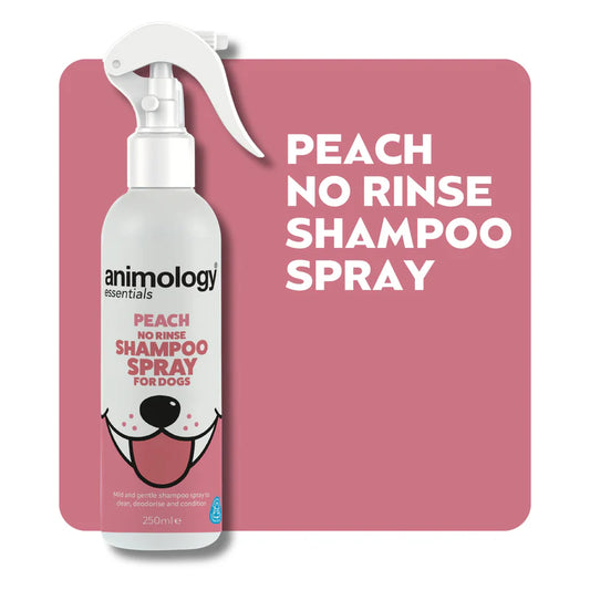 Essentials Peach No Rinse Shampoo Spray 250ml