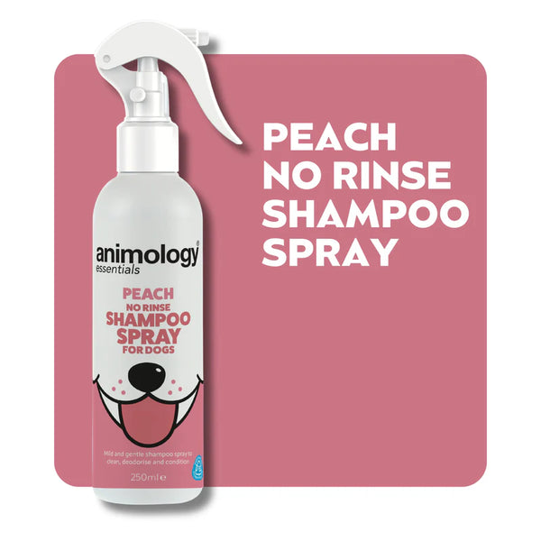 Essentials Peach No Rinse Shampoo Spray 250ml