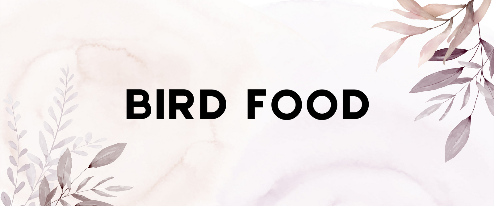 Bird Food