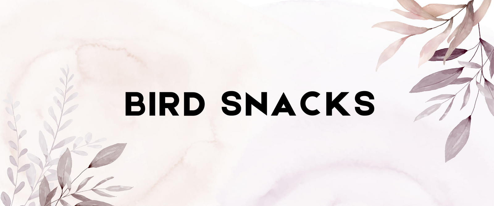 Bird Snacks
