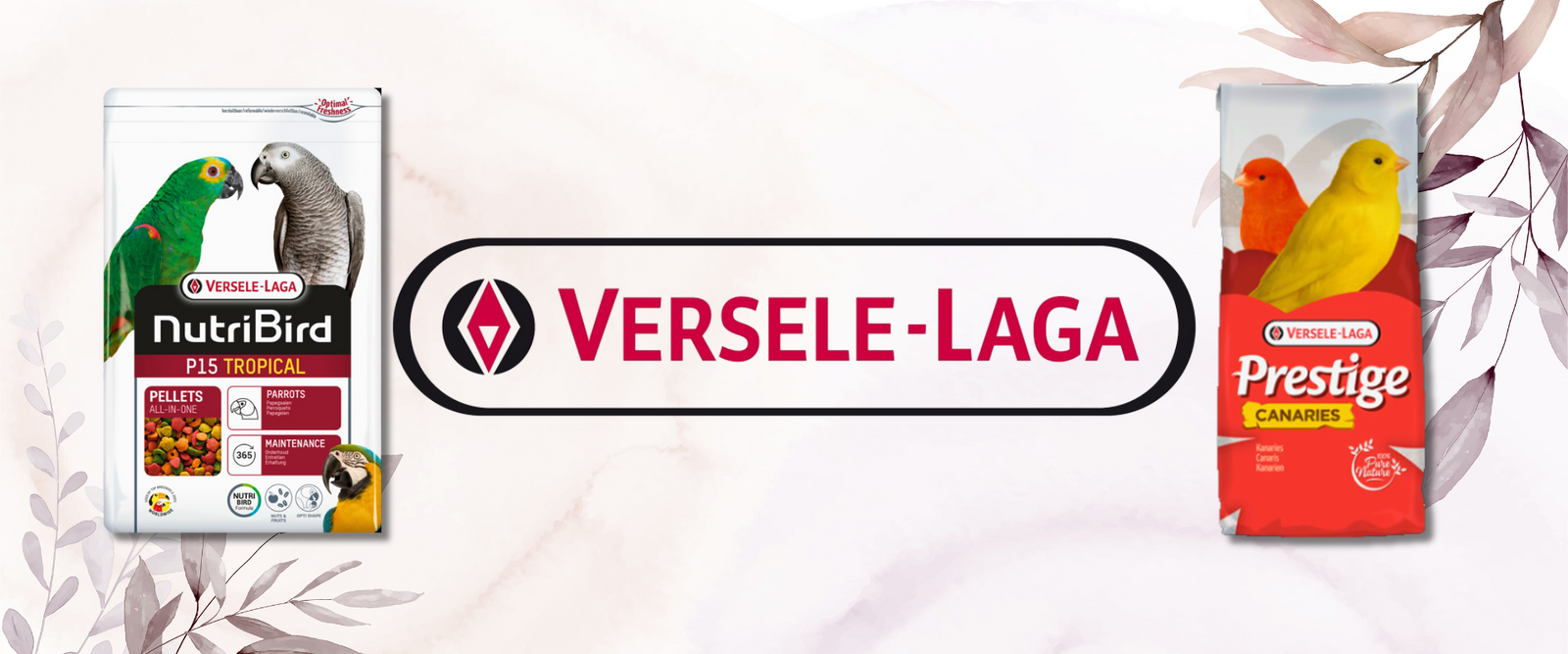Versele Laga