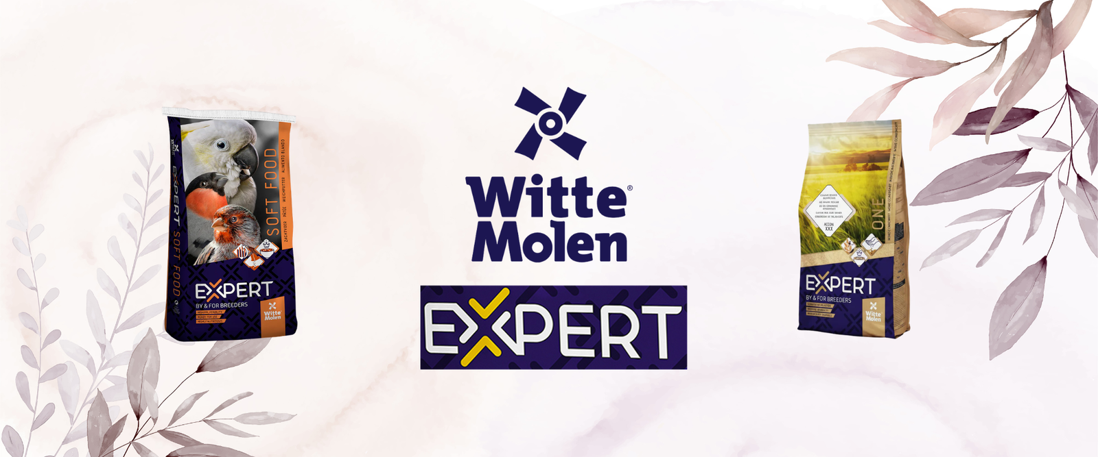 Witte Molen