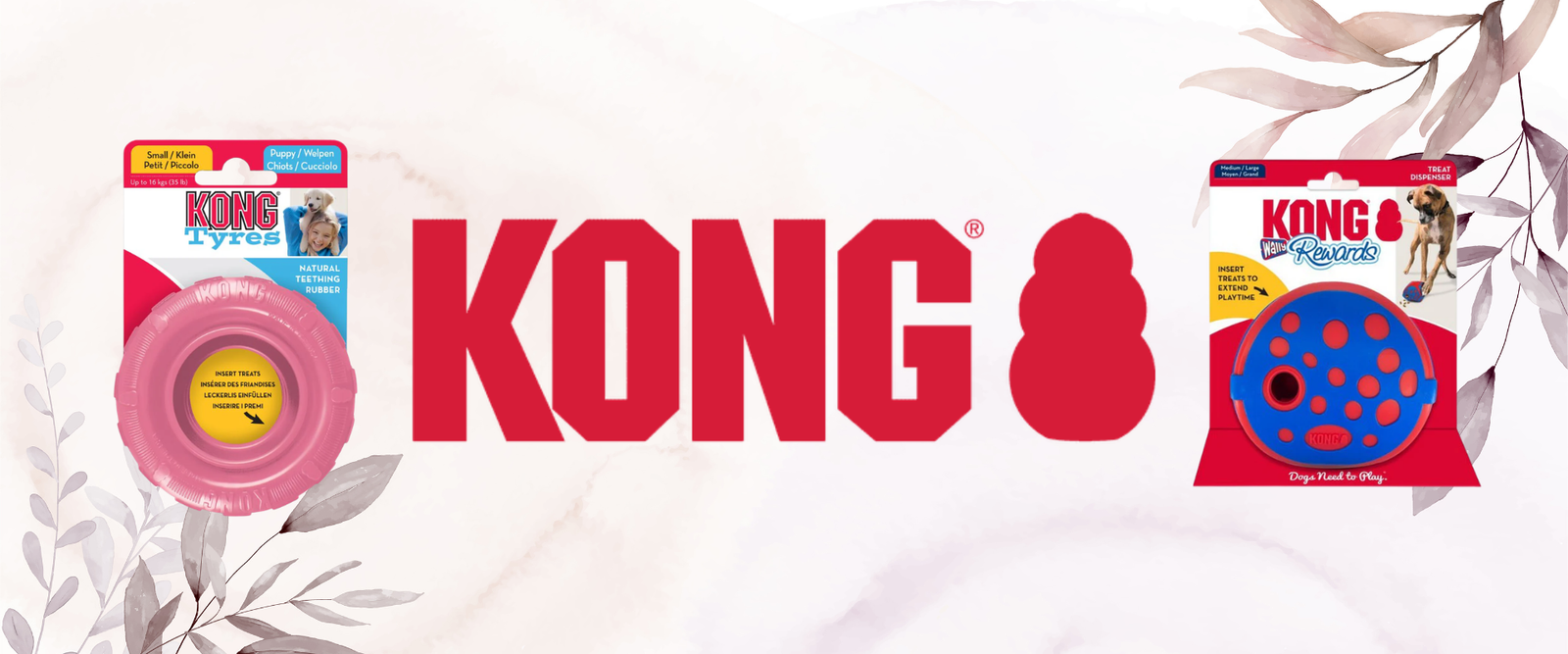 Kong