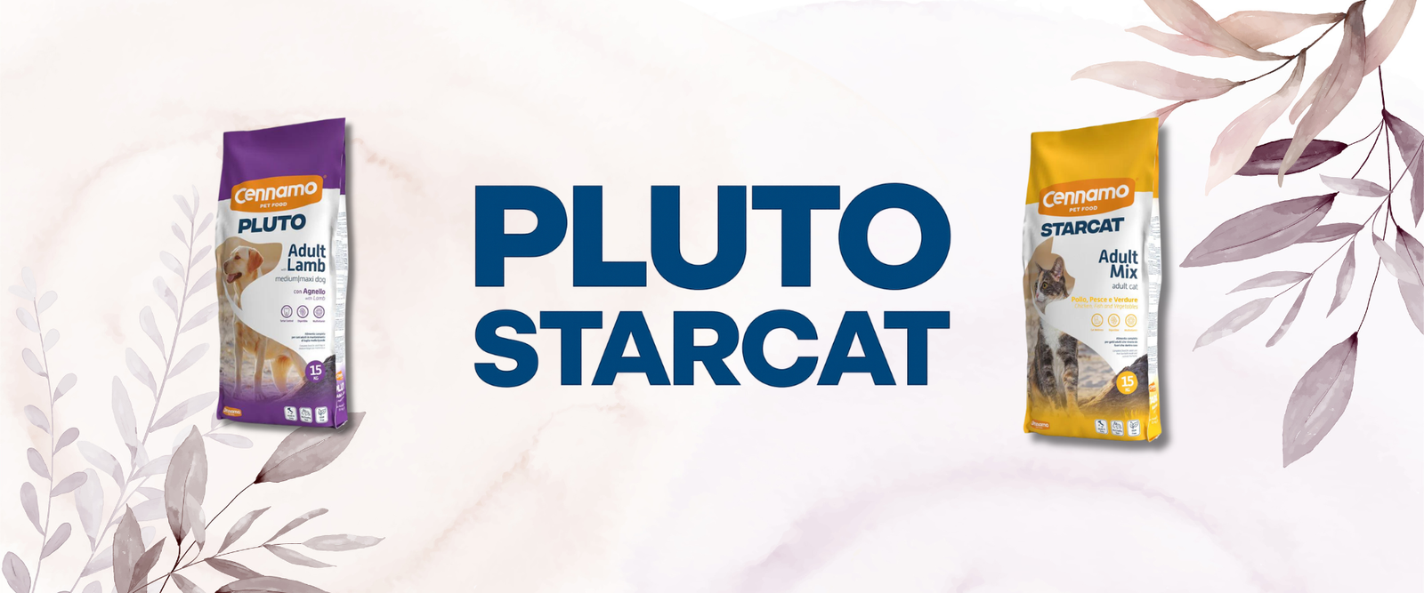 Pluto banner