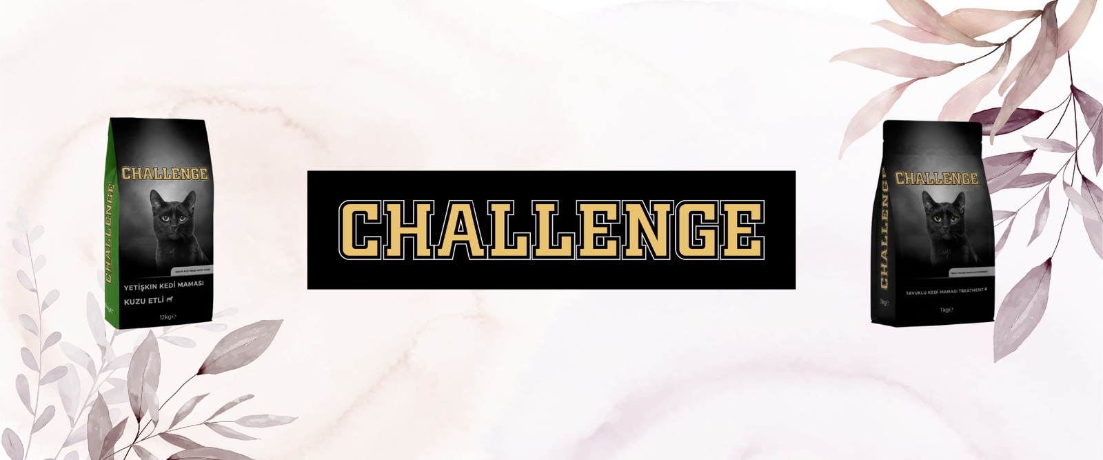 Challenge