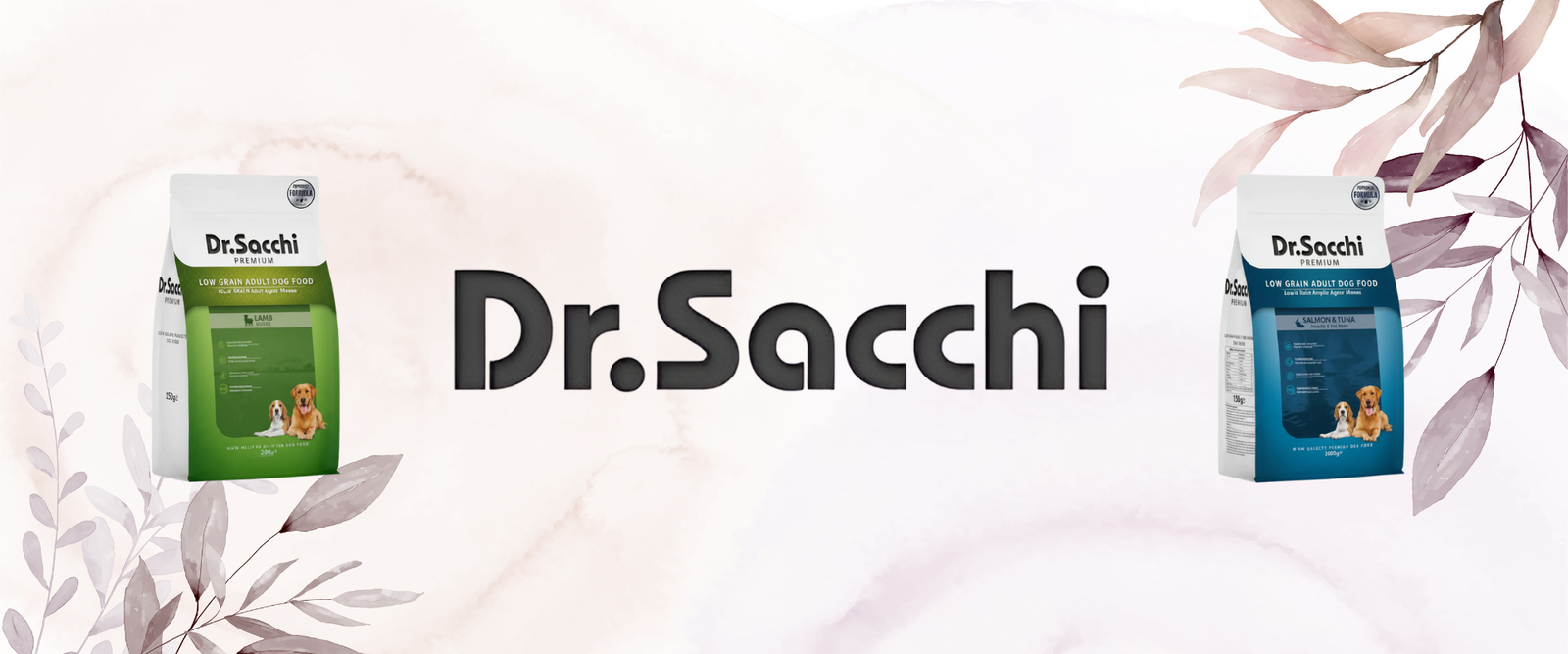 DrSacchi