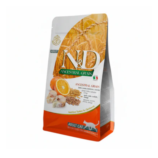 Cat Ocean Codfish & Orange