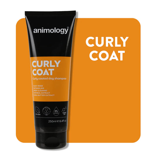 Shampoo Curly Coat