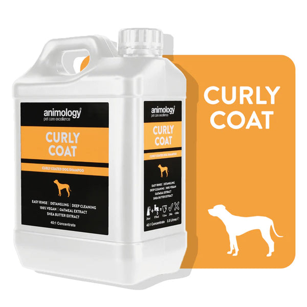 Shampoo Curly Coat