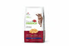 Adult Cat Fresh Chicken