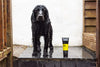 Shampoo Fox Poo