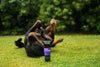 Shampoo True Colours Dog