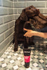 Shampoo Puppy Love