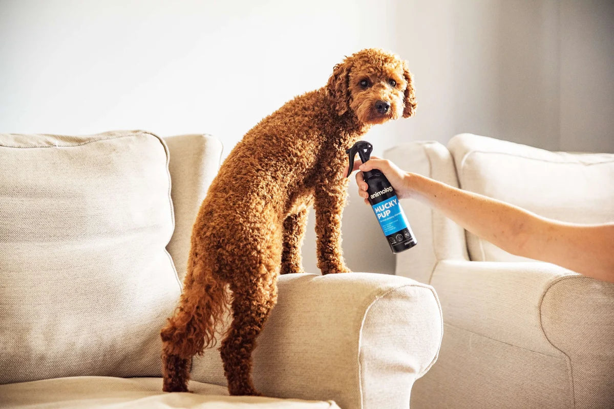 No Rinse Shampoo Mucky Pup