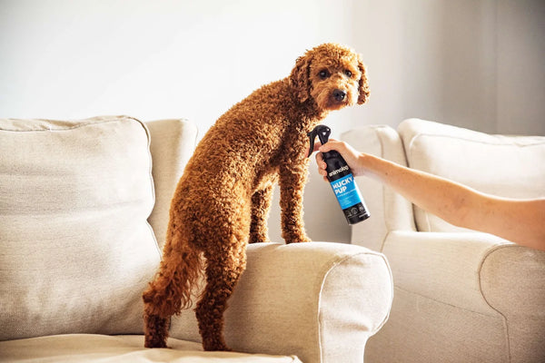 No Rinse Shampoo Mucky Pup
