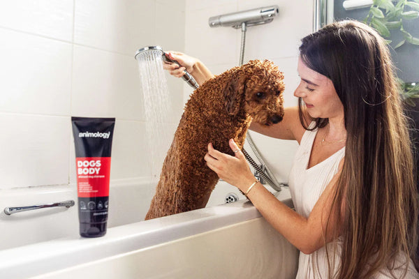 Shampoo Dogs Body