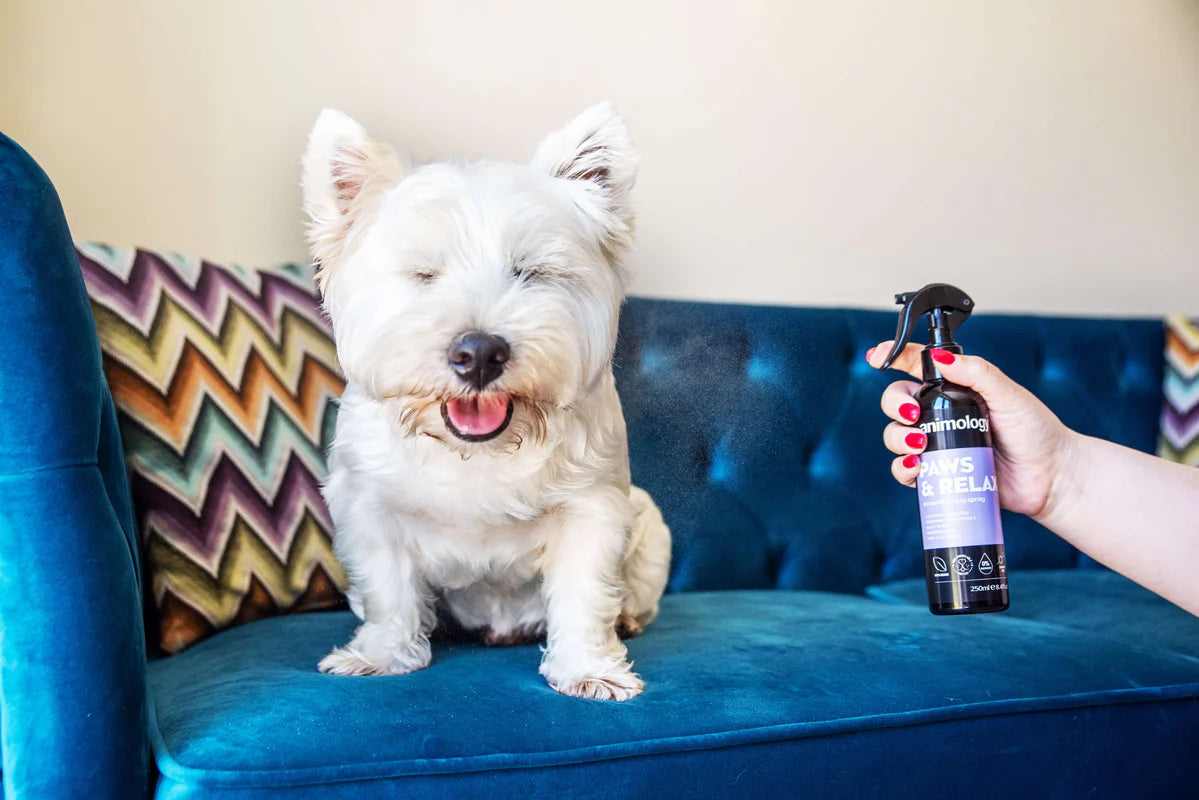 Aromatherapy Spray Paws & Relax