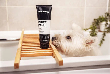 Shampoo White Wash