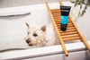 Shampoo Spa Day