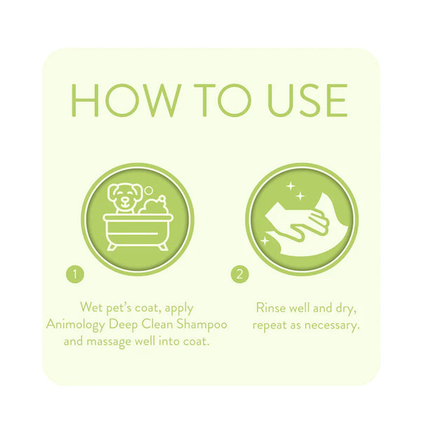 Shampoo Deep Clean