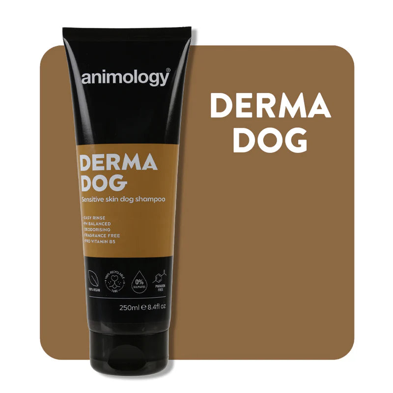 Shampoo Derma Dog