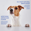 Twin Packs Dog 2pc