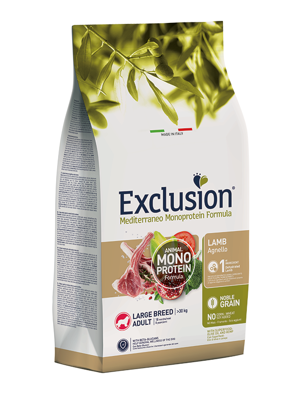 Yetişkin Büyük Kuzu