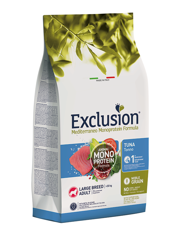 Yetişkin Büyük Ton Balığı