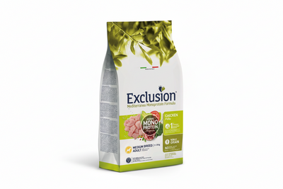 Yetişkin Orta Boy Tavuk