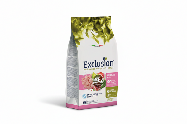 Yavru Küçük Tavuk