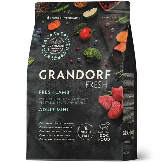 Yetişkin Mini Taze Kuzu