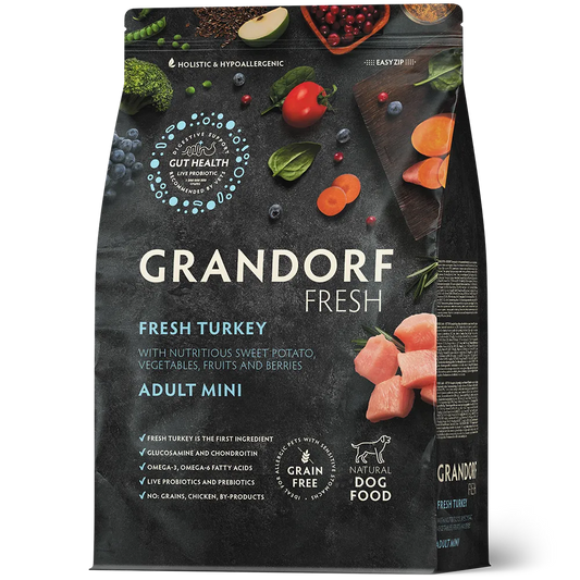 Yetişkin Mini Taze Hindi