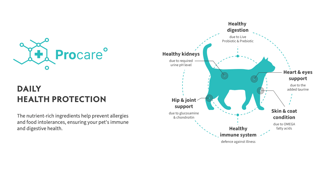 Cat Sterilized Fresh Turkey