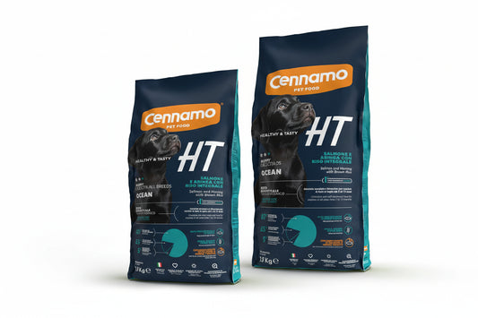 Puppy All Breed Ocean