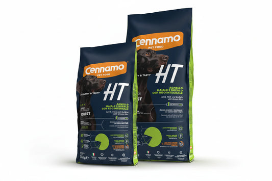 Adult All Breed Forest