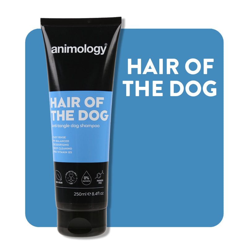Shampoo Hair Of The Dog