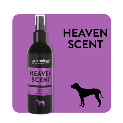 Perfume Spray Heaven Scent