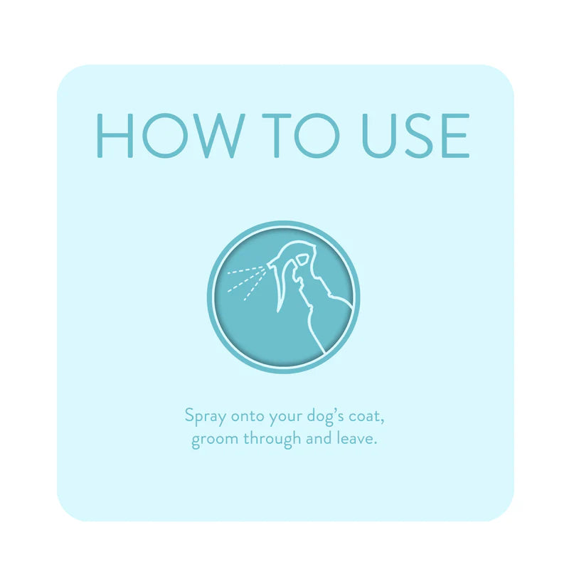 Detangle Spray Knot Sure