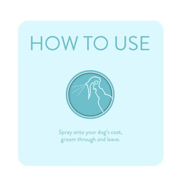 Detangle Spray Knot Sure