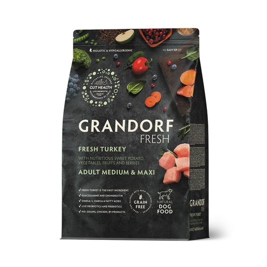 Yetişkin Orta ve Büyük Taze Hindi