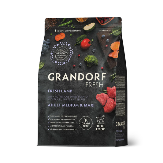 Yetişkin Orta ve Büyük Taze Kuzu