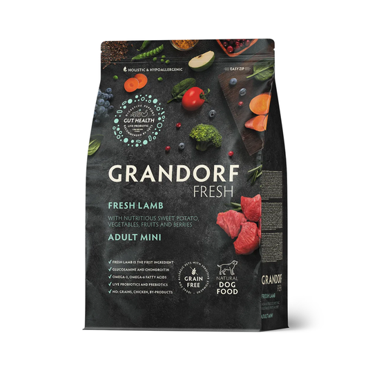 Yetişkin Mini Taze Kuzu