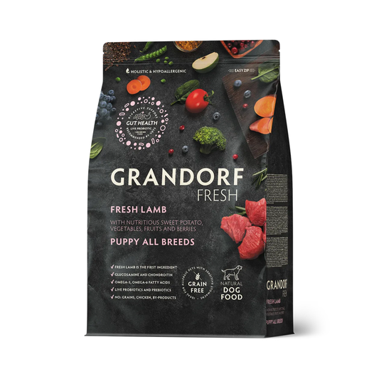 Yavru Köpek Her Irk Taze Kuzu