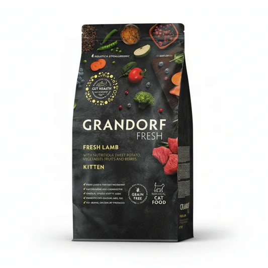 Kitten with Fresh Lamb