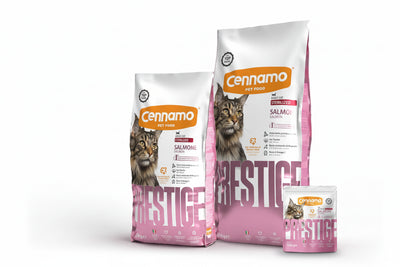 Sterilized Cat Salmon