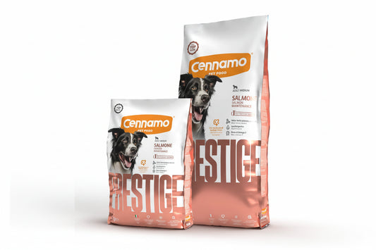 Adult Med/Maxi Salmone