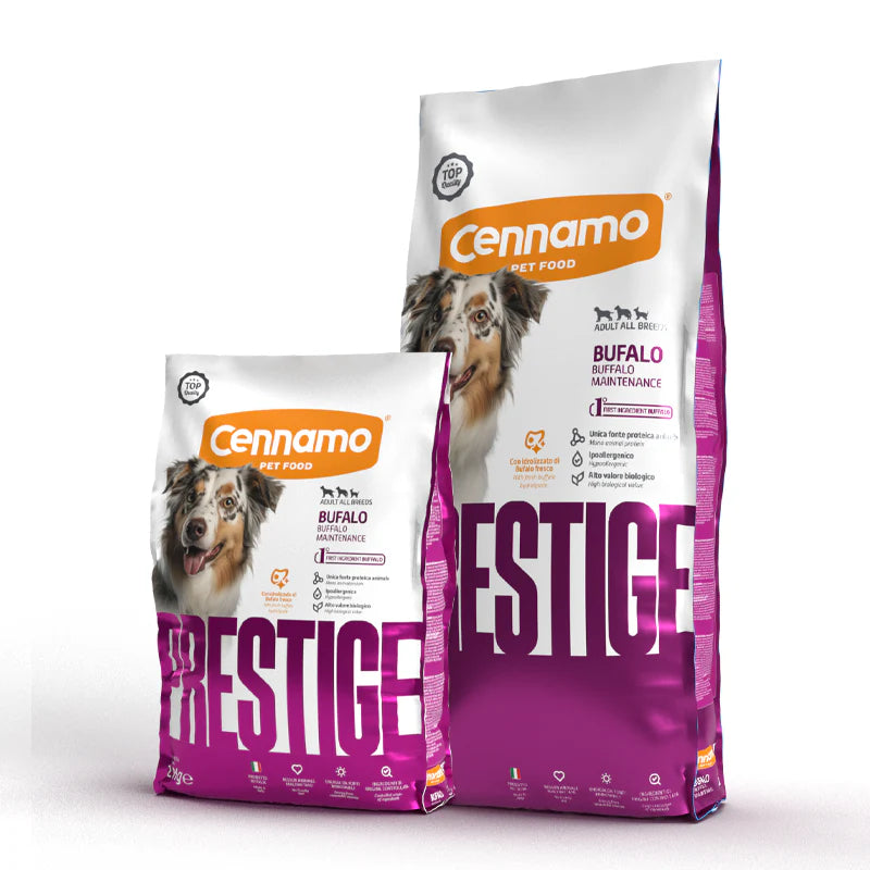 Adult Med / Maxi Buffallo