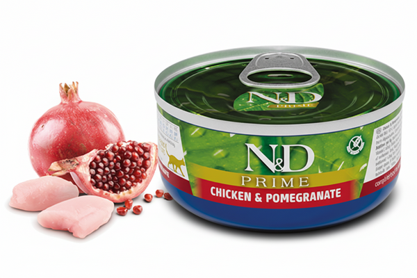 Wet Prime Chicken & Pomegranate