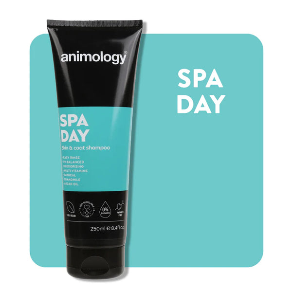 Shampoo Spa Day
